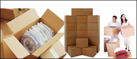 Role of movers and packers in Allahabad